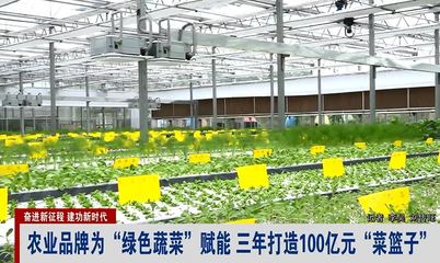 江苏南京:农业品牌为“绿色蔬菜”赋能 三年打造100亿元“菜篮子”